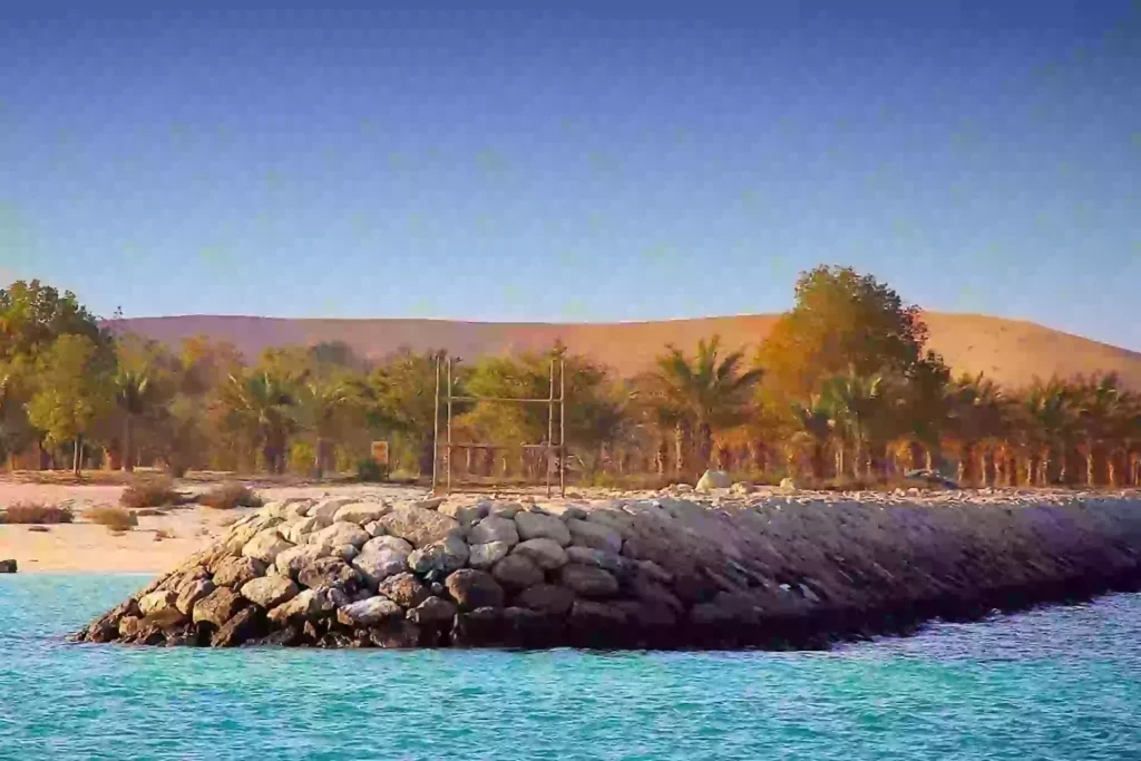 Printing Services in Al Lulu Island Abu Dhabi